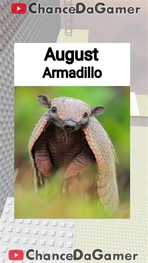 PART 2 | Your Birth Month = Your Pet 🫣🐾