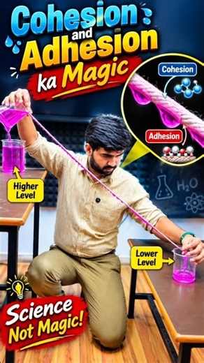 Cohesion & Adhesion Ka Magic! 😱💧 | Water Rope Experiment #Shorts # #sciencegurushivam #sciencefacts