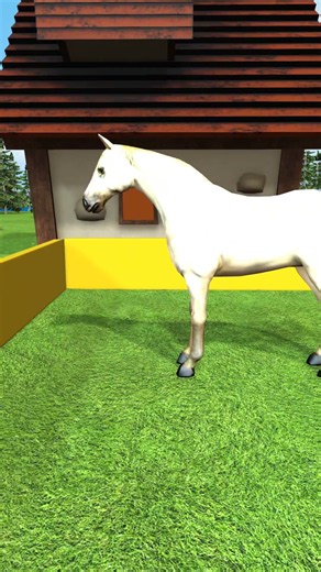 Horse-3D Animals💥