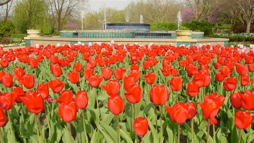 These 5 Kansas attractions rank among the nation's best