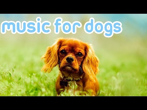 Anti-Anxiety Music for Dogs! Soothing Sleep Sounds