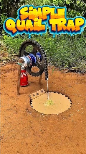 Simple Bird Trap Setup in the Garden#shrots #bird #animals