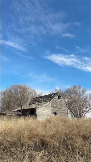 Just a lazy morning drive in the countryside # countryside #scenery #beautifulnature #beautiful