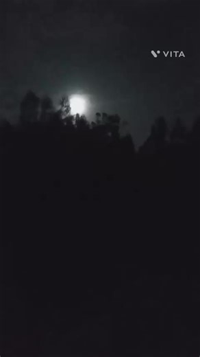 Videos de Da-rk (@da_rk115) con “sonido original - Da-rk”