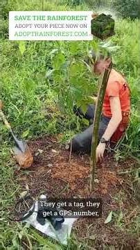 Planting 300 Tree Species: One of the Most Biodiverse Hectares on Earth