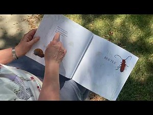Author Read Aloud: Summer Walk
