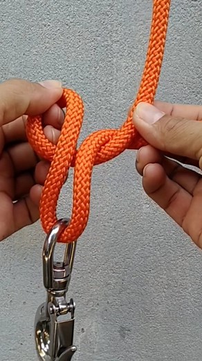 Tying double dragon loops knot with ring. #knot #knots #hitch #nudos #techniques #bowline #bowlineknot #knottying #campingknot #basicknots #constrictorhitch | Millie