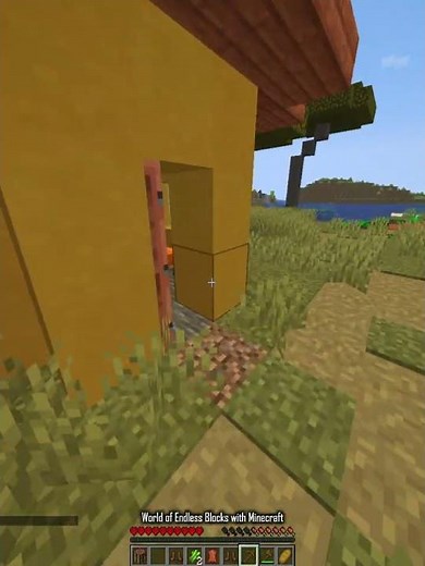 I Finally Found a Village in Minecraft! 🏡