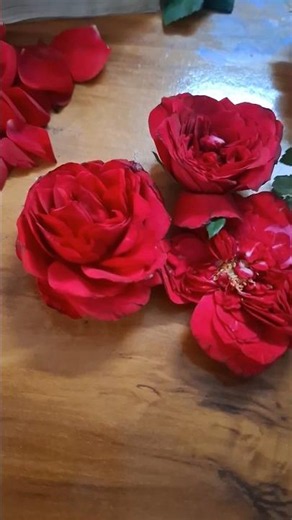 dry flowers at home for resin art 🌹#resin #resinart #dryflowers #rosepetal #flowers #rose #viral