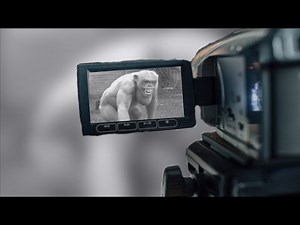 Useless Avi - Blow up