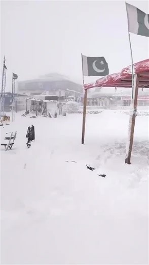 Revver Travels on TikTok