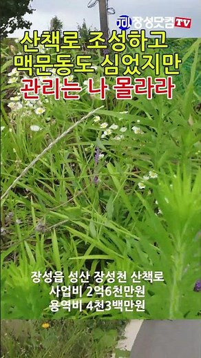 산책로 조성하고 맥문동도 심었지만 '관리는 나 몰라라' #장성닷컴 #장성군 #장성천산책로