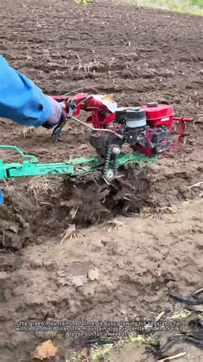 Farmer Plows Mountain Vegetable Field with Handheld Tiller 🌾