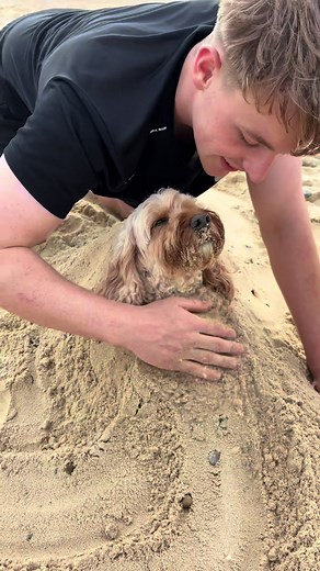 Dog's Unique Love for Sand at the Beach