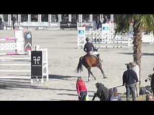 Concours de saut d'obstacles CCI**** Pau 2012 - Wapiti magazine