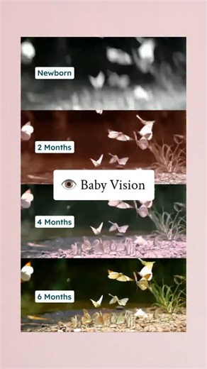 Baby Brain | Parenting on Instagram: "👶 Newborn vision: In the first weeks, babies see best about 8–12 inches from their face—perfect for gazing at you during feeds and cuddles. High-contrast patterns and bold shapes stand out most. 🎯 By 2 months: Baby starts following slow movement, locking onto familiar faces, and giving those real social smiles. 🌈 By 4 months: Colors look richer, depth perception improves, and their own hands and nearby toys suddenly become fascinating to watch and grab. �