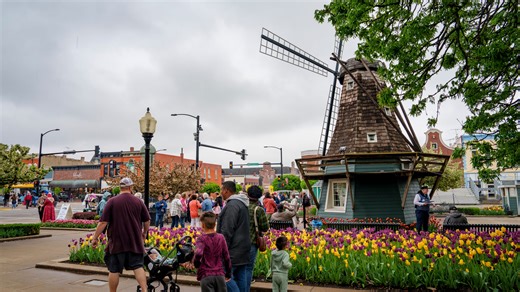 Pella's tulip festival is almost here. See 2026 dates, details.