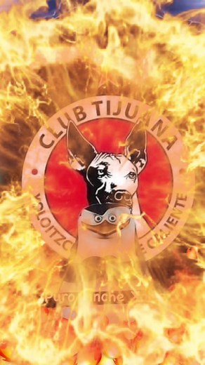 Arriba mis Xolos: Todo sobre el equipo