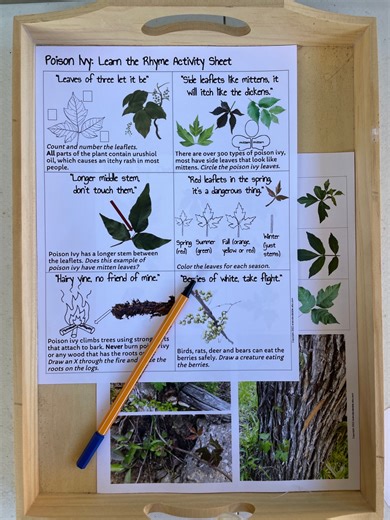 Identify Poison Ivy Worksheet Printable | Poison Ivy Education | Boy Scouts | Girl Scout Activity | Safe Hiking | Camping Activity - Etsy