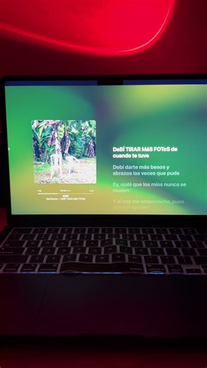 DTMF: Bad Bunny's Lyrics and Aesthetic Vibes