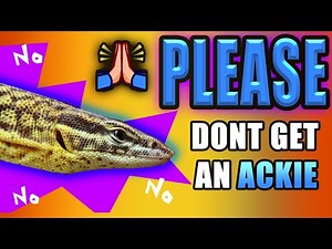DO NOT GET AN ACKIE MONITOR! 5 Reasons NOT To Get An Ackie Monitor