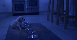 74K views · 3.1K reactions | However you want to spend the day and whoever you want to spend the day with - a very Merry Christmas from all of us at Fitzpatrick Referrals! #TogetherThisChristmas | Fitzpatrick Referrals | Facebook