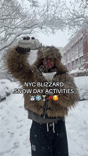 Fun Snow Day Activities in NYC During the Blizzard