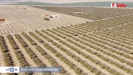 353K views · 4.1K reactions | La sécheresse qui touche encore la Californie bat de tristes records. Depuis un mois, le gouverneur a décrété l'état d'urgence avec les ressources en eau qui représentent la moitié d'une année normale. Les agriculteurs sont donc poussés à prendre des mesures drastiques.  Pierrick Leurent. | M6 Info | Facebook