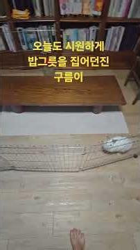 질풍노도의 구름이