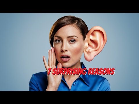 Why We Lie: The truth of Deception 🤥