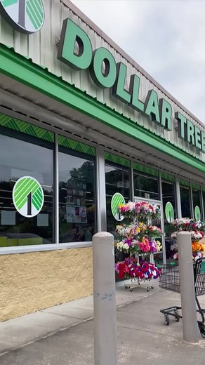 How much would it cost to eat healthy from Dollar Tree? Does the answer surprise you? Everyone has a different definition of healthy but to me, healthy just means well balanced meals. Good sources of protein, lots of fiber. A lot of what I am sharing can easily be adapted to many dietary restrictions like gluten free, dairy free, or diabetic friendly. Stay tuned to see the recipes & meals! #dollartreedinners #dollartreegroceryhaul #dollartreefood #healthydollartree #shopwithmeatdollartree #groce