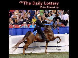 #ThrowbackThursday Here is a look back at some of the great #AmericanSaddlebreds who have won the coveted prize of Five Gaited World Grand Champion! What #ASBDreams maker below is your favorite? #SharetheSaddlebred | American Saddlebred Horse & Breeders Association