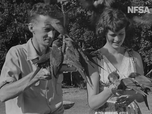 Step back to 1955, when the Gold Coast was a quaint beachside escape, far from the high-rise cityscape it is today. This film captures a charming era of oceanfront camping, bird sanctuaries, water parks, and a bustling Surfers Paradise strip lined with small shops and businesses. Back then, the local population of 21,000 swelled to 110,000 during the holiday season, with holidaymakers flocking to this sunny paradise. It’s a fascinating snapshot of the Gold Coast on the cusp of transformation – f