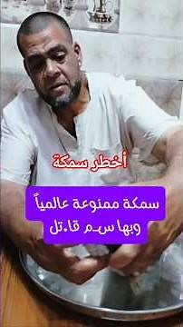 أخطر سمكة فى البحر #اسماك #سمك #اكسبلور