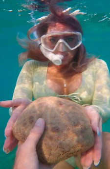 I Found a Spiny Cushion Sea Star! You Won’t Believe Its Texture!