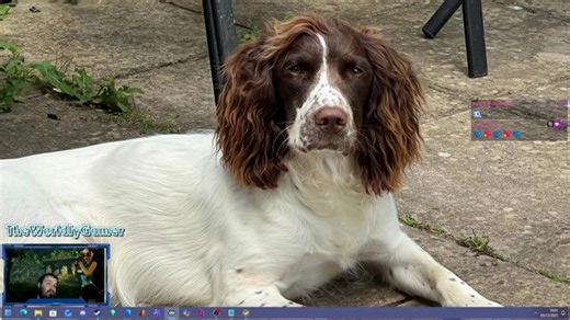 Lazarus' Golden Rose By StudBuddha