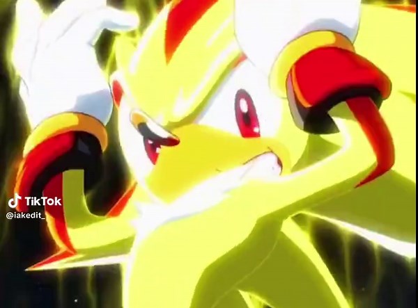 ☆ ☆ ☆ #shadowthehedgehog #sonicthehedgehog #supersonic #supershadow #sonicandshadow