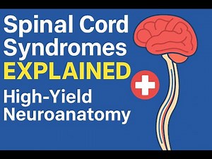 Spinal Cord Disorders & Syndromes Explained | High-Yield Neuroanatomy for Exams & Clinical Practice