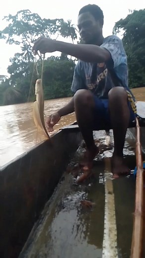 Pêche en action : découvrir la technique