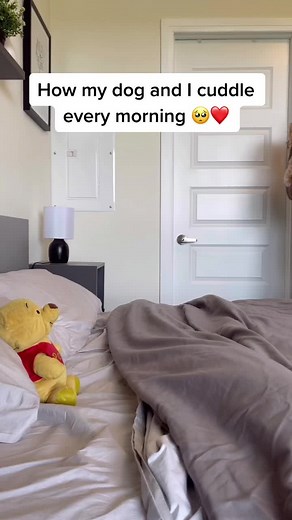 Morning Cuddles with My Cuckapoo Dog 🐶