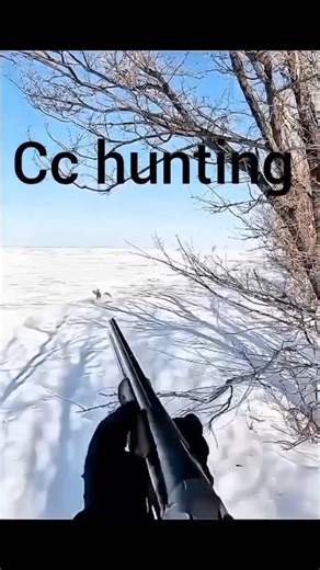 "viral short rabbit hunting with gun"30million views "