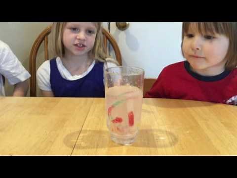 Dancing Worms Science Experiment