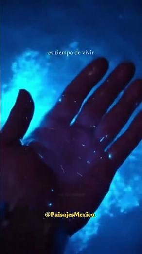 Bioluminescence in Holbox. #holbox #bioluminescence