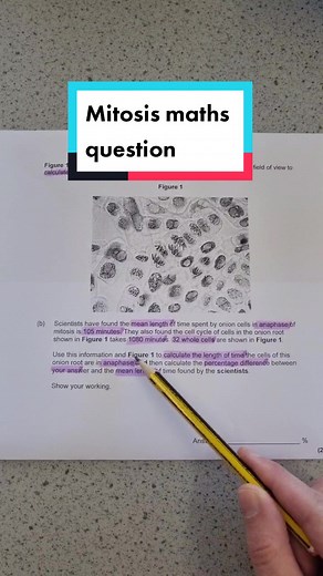 Mitotic Cell Division in A-Level Biology Exam