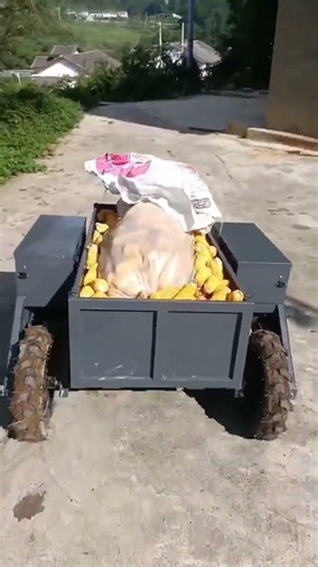 remote controlled 4wd load carrier China manufacturer factory