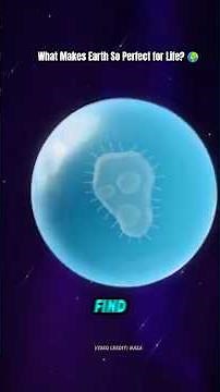 The Goldilocks Zone: Why Life Exists on Earth