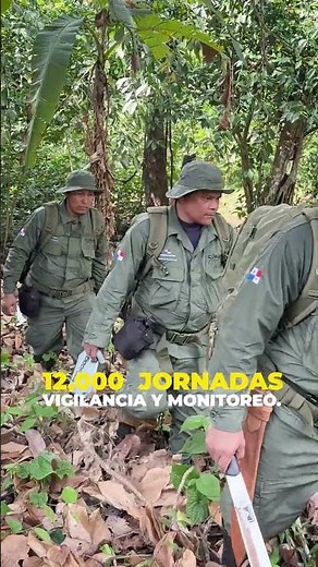 Nuestros parques nacionales son el hogar de miles de especies.
