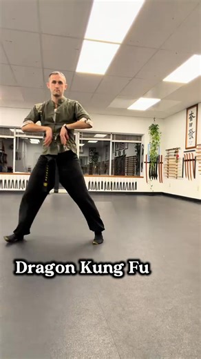 982 reactions · 64 shares | Dragon Kung Fu Turns Your Spine Into a...