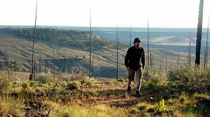 Come on! Go traveling with us! Rock Rooster | Rock Rooster