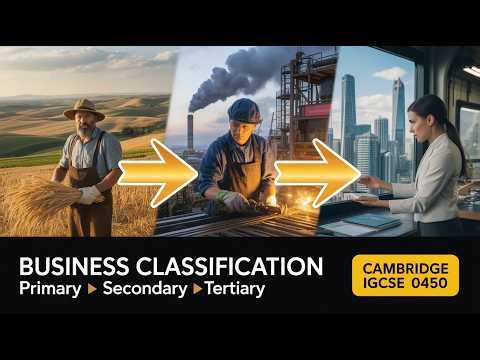 1.2 Classification of Business: 0450 Business Studies Cambridge IGCSE